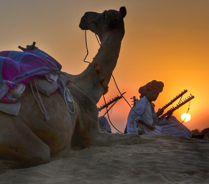 rajasthan tour packages service