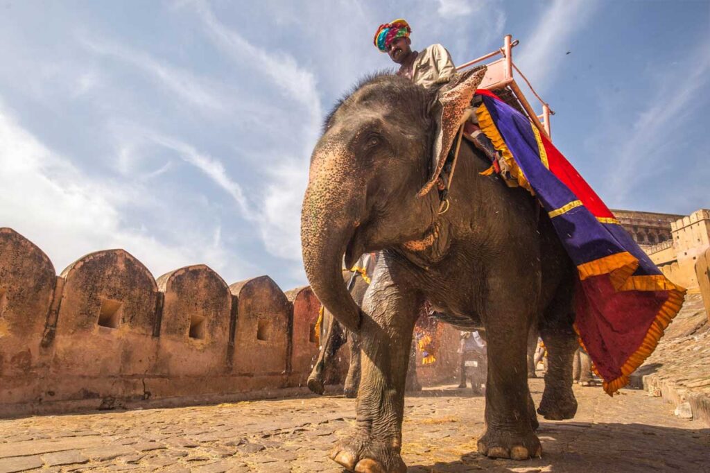 Travel Rajasthan From Jaipur